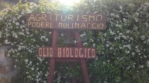 Fotografia z galérie ubytovania Agriturismo Podere Mulinaccio v destinácii Ribolla