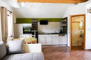 米爾茲楚施拉格的住宿－千禧度假屋，带沙发的客厅和厨房