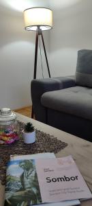 a living room with a couch and a table with a book at Apartman N&L in Sombor