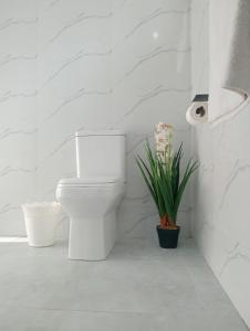 a white bathroom with a toilet and a plant at Cosy One bedroom with good Solar backup & Wi-Fi in Lusaka