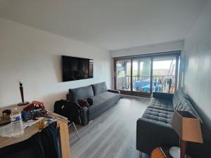 ein Wohnzimmer mit Sofa und Fernseher in der Unterkunft Deauville Proche Plage - Piscine Chauffée - Jacuzzi - Sauna in Deauville