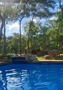 a swimming pool with trees in the background at Kigeni Safari Lodge & Spa in Vaalwater