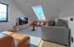 a living room with a couch and a tv at Stunning Home In Durbuy With Sauna in Tohogne +29 photos