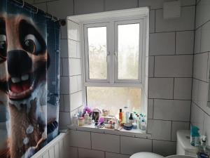 a bathroom with a window and a pile of cosmetics at Miskin in Llwyn-y-pia