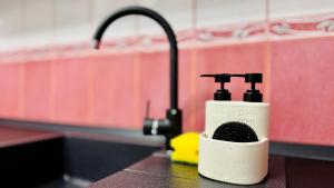 Billede fra billedgalleriet på SHoliday Luxury Apartament Modern cu 2 Dormitoare i Timişoara + 57 billeder