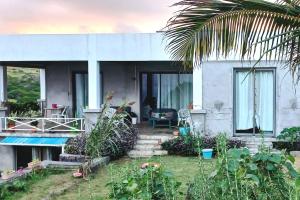 a house with a palm tree in front of it at Studio Petra in Saint Francois