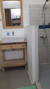 a bathroom with a sink and a mirror and a shower at Studio Amanda in Nouvelle Découverte
