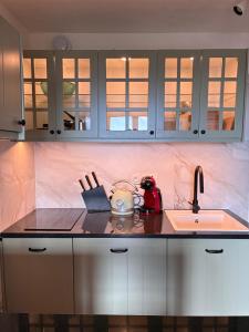 a kitchen with a sink and a counter top at Magnifique studio à 250 mètres des pistes avec tout inclus in Bolquere Pyrenees 2000 +9 photos