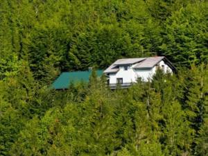 une grande maison blanche au milieu d'une forêt dans l'établissement Secluded Holiday Home with Jacuzzi in Kozji Vrh, à Kozji Vrh