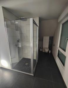 a bathroom with a shower and a toilet at Belle chambre et salle de bain privée in Blotzheim