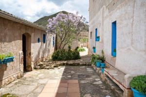 an alley with buildings and a tree with purple flowers at Vivienda de Turismo Rural Granja La Lomica in Ladruñán