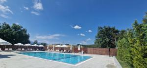 a large swimming pool with chairs and umbrellas at Nara in Pchelin