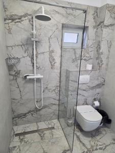 a bathroom with a shower and a toilet at FLORA Garden Relax in Filiaşi +23 photos