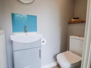 une salle de bain avec un lavabo et des toilettes dans l'établissement Rushmoor Cottage, à Colaton Raleigh 36 autres photos
