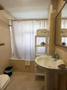 a bathroom with a sink and a shower and a toilet at ESTUDIO LUNA in Sierra Nevada +15 photos