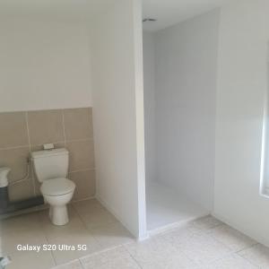 a bathroom with a toilet and a shower at Maison typique picarde in Soissons