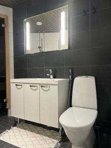 un bagno con un water, un lavandino e uno specchio di Apartment Secret a Rovaniemi