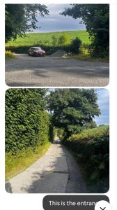 Gallery image of Wild Forest Retreat in Maghera