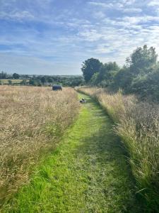 Gallery image of Wild Forest Retreat in Maghera