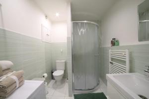 un bagno con doccia, WC e lavandino di Bright & Cozy Apartment with Netflix & Xbox! a Kladno