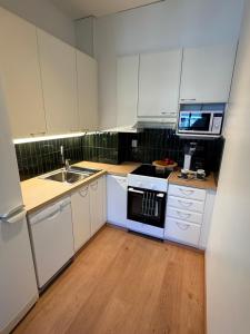 Η κουζίνα ή μικρή κουζίνα στο Studio Forest Green +14 φωτογραφίες