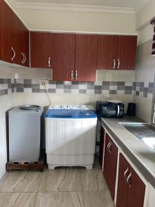 a kitchen with a sink and a washer and dryer at Modern 1-Bedroom Apartment with AC & Fast WiFi in Accra