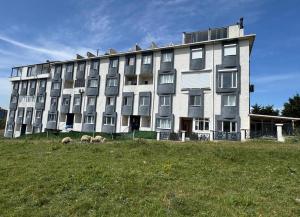 a large building with sheep in front of it at Lina Apart in Arnavutköy