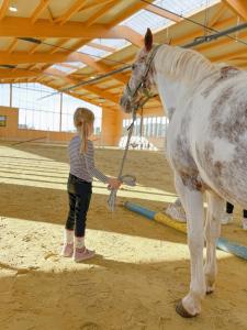 una joven sosteniendo la brida de un caballo en Hof Köhne - Altes Bauernhaus - Wohnung Pony, en Schmallenberg 22 fotos más