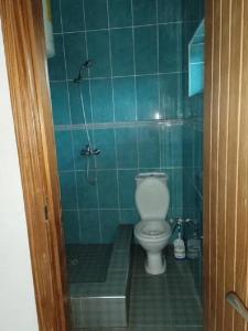 a green tiled bathroom with a toilet and a shower at Sako's Home 