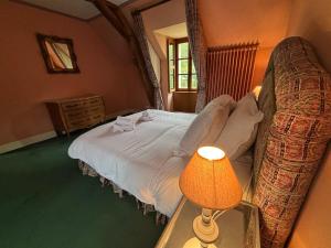 1 dormitorio con cama, lámpara y silla en Le Moulin des Marguerites, en Saint-Père
