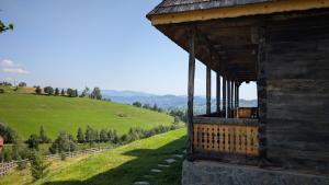 a building with a view of a green hill at Casa Vlădușca in Peştera
