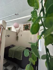 een kamer met een bed en een plant bij Évasion privée 66 in Perpignan +25 foto's