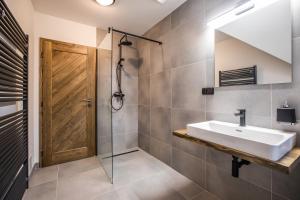 un bagno con lavandino e doccia di Chalet Lucie a Bedřichov Altre 36 foto