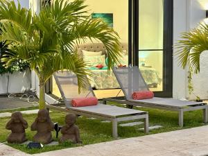 two chairs and a palm tree in a yard at Zolikaz in Grand-Baie
