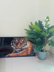 Billede fra billedgalleriet på Shanty Town Homes i Kampala