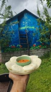 Κήπος έξω από το Cannavillas hostel