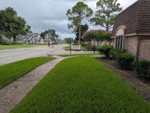 a road next to a house with a green lawn at Cozy Townhome in Missouri City