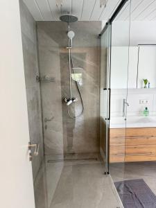 a shower with a glass door in a bathroom at Großzügige Ferienwohnung in Fleischwangen - Platz bis zu 8 Personen in Fleischwangen +13 photos