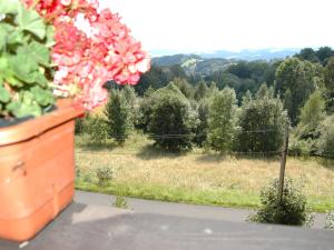 Jardín al aire libre en Spacious cottage in the Giant Mountains 1 km from the skislopes