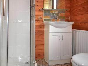 ein Badezimmer mit Dusche, Waschbecken und Toilette in der Unterkunft The Dragons Den in Ilfracombe