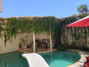 Casa con piscina con sombrilla en Bed and Breakfast Pecarí, en Cancún