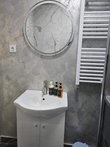 un baño con lavabo y espejo en Vila Ris 4 Timpuri Noi, en Vitan