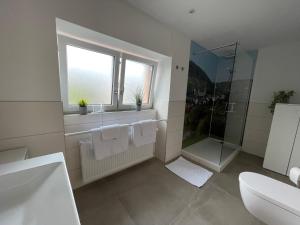 baño con ducha, lavabo y ventana en Gaestehaus Kön - Fewo Farfalle, en Zeltingen-Rachtig