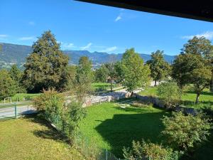 a view of a field with trees and a road at Cuori, Cervi e Caprioli in Cesuna