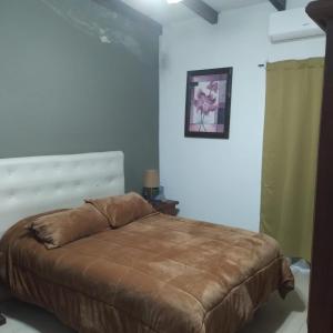 a bedroom with a large bed in a room at Alojamiento Gra in Gualeguaychú