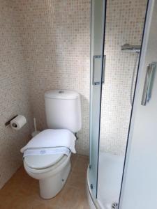 een badkamer met toilet en douche bij Domus 2 in Negrar