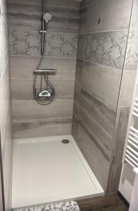 a shower with a glass door in a bathroom at Elegant duplex au 3 frontières in Kingersheim