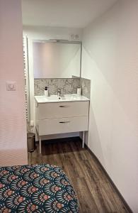 a bathroom with a sink and a mirror at Elegant duplex au 3 frontières in Kingersheim +5 photos