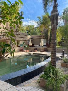 a swimming pool with a palm tree in front of a house at Oudtshoorn Guest House in Oudtshoorn