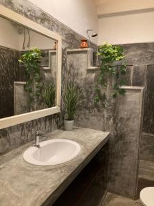 La salle de bains est pourvue d'un lavabo, d'un miroir et de plantes en pot. dans l'établissement Villa Vita Unawatuna, à Unawatuna 45 autres photos